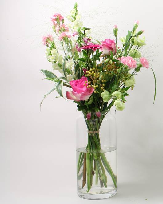 Chrysal Flower & Plant Care